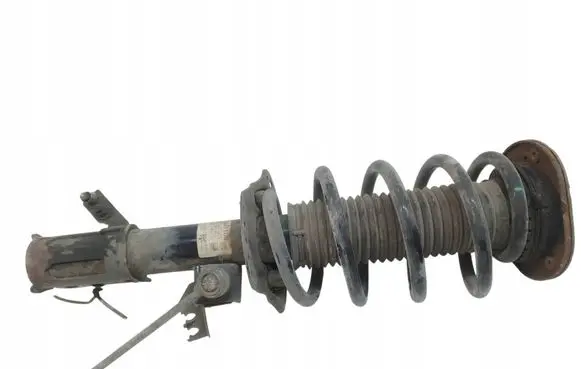 Ford S-MAX Front shock absorber/damper F1GC18045BEC