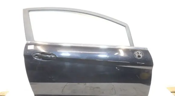 Ford Fiesta Front door