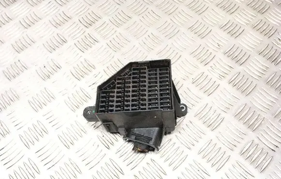 Volkswagen PASSAT B6 Fuse module 3C1941824