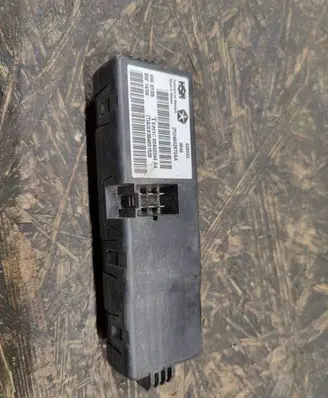 Chrysler 300 - 300C Other control units/modules 04602670AA