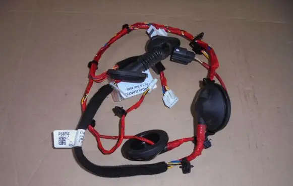 Hyundai Elantra VI Rear door wiring loom 91650-F2010