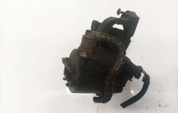 Citroen C3 Fuel filter 9646231180
