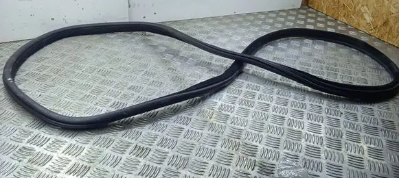 BMW X6 F16 Rear door rubber seal (on body) 7317822