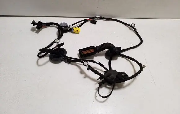 Audi Q5 SQ5 Front door wiring loom 8R0971030CH