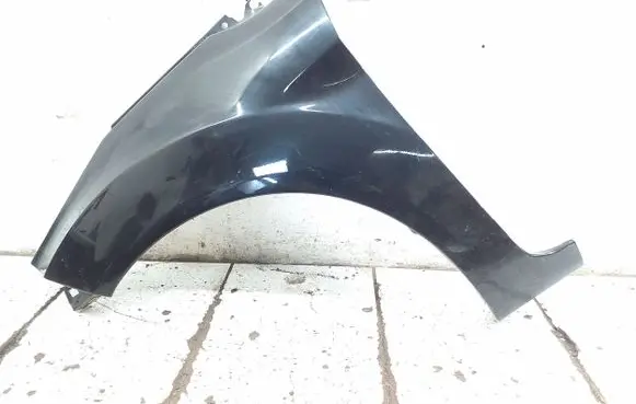 Ford Fiesta Fender