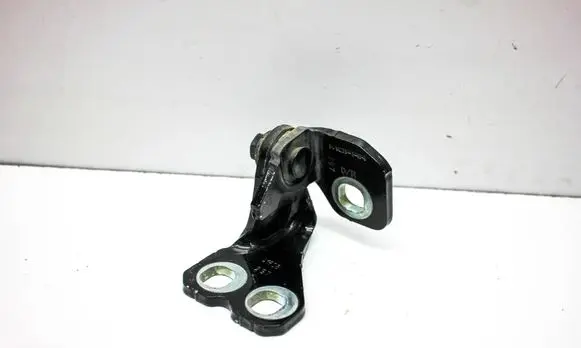 Jeep Compass Rear door upper hinge 41608