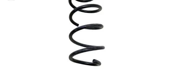 Ford Escape IV Front coil spring LX615310 LX615310NAC E29EJ