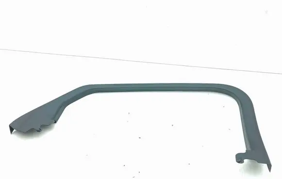Ford Mustang Mach-E Rear door glass trim molding LJ8BR247B57A