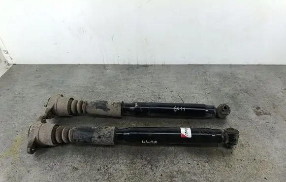 Volkswagen PASSAT B5 Rear shock absorber/damper AGW074MTMAGNUM