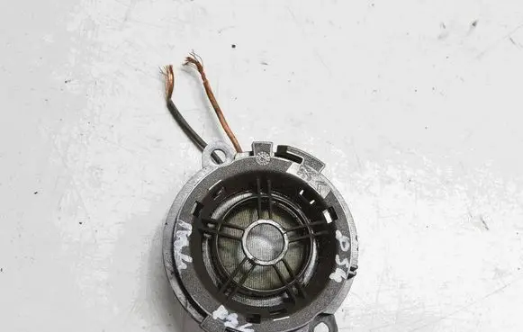 Panel speaker