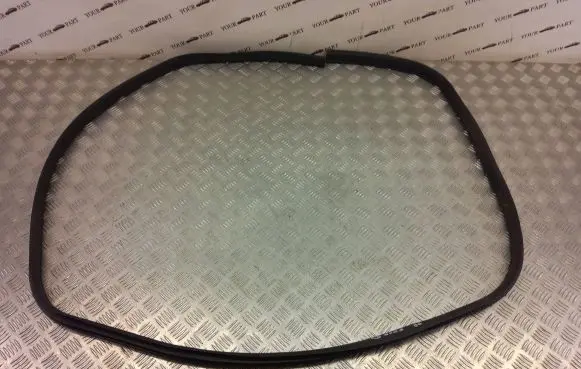 Ford Kuga II Front door rubber seal 