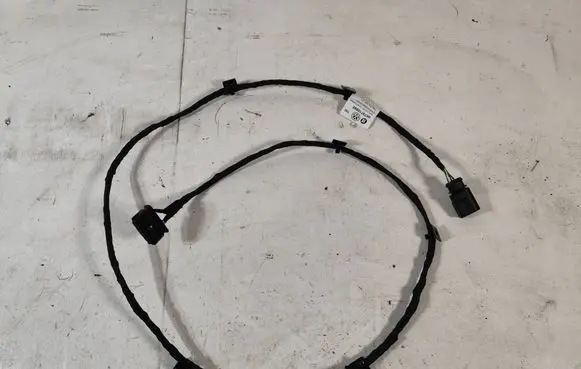 Other wiring loom