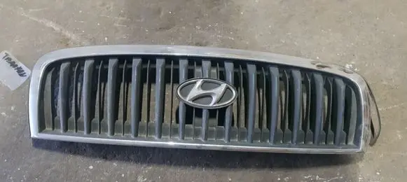 Hyundai Santa Fe Front bumper upper radiator grill