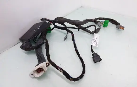 Front door wiring loom