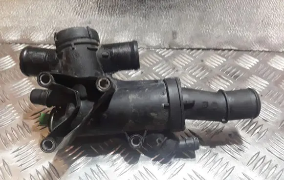 Thermostat/thermostat housing