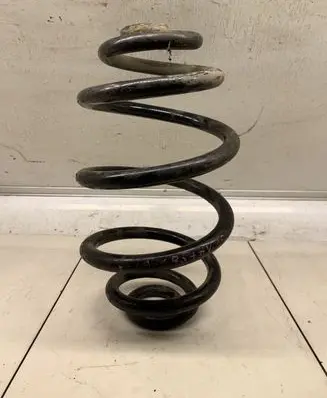 Volkswagen PASSAT B5.5 Rear coil spring
