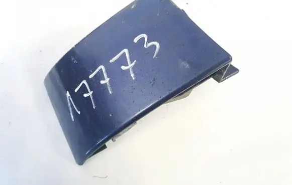 Rear/tail light trim molding
