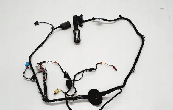 Audi A4 S4 B9 Front door wiring loom 8W0971029DC 28062019 TAB010403EA
