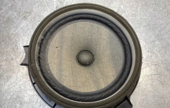 Opel Antara Rear door speaker 861602B580