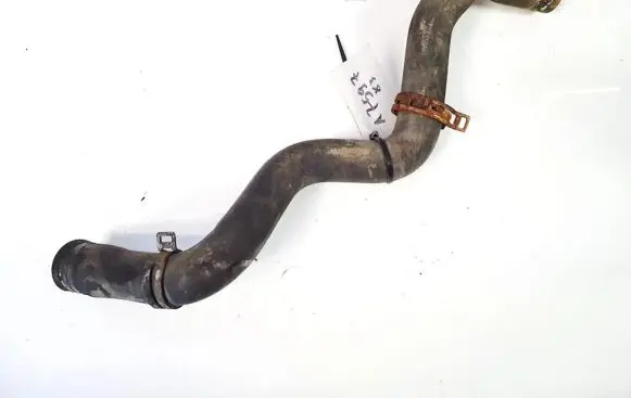 Ford Focus Engine coolant pipe/hose