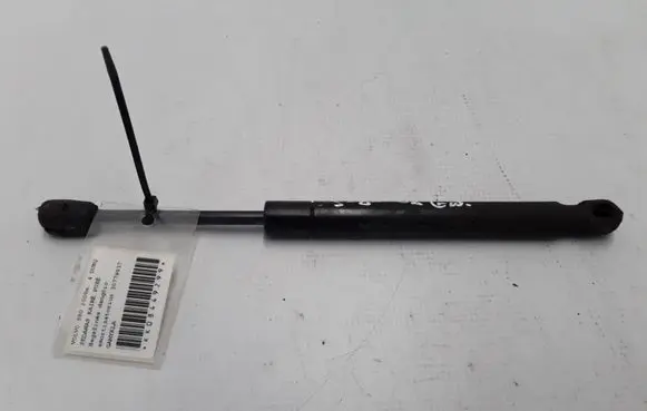 Tailgate strut