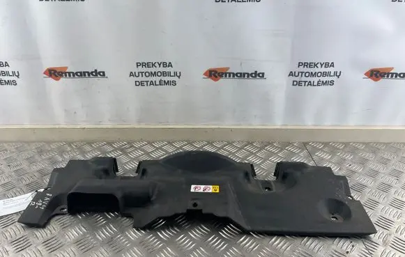 Engine bonnet/hood lock trim molding