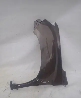 Dacia Duster II Fender