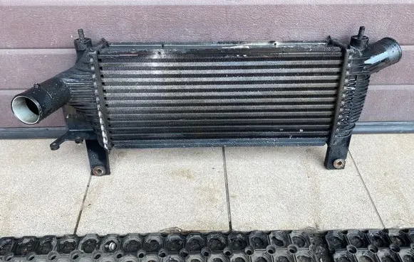 Nissan Pathfinder R51 Intercooler radiator 14461EB360