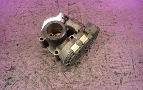 Throttle body valve