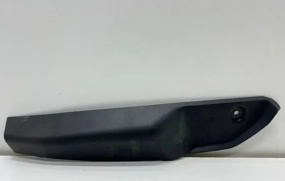 Rear/tail light trim molding