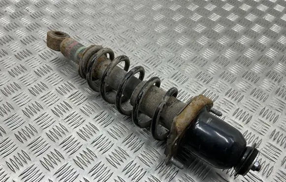Rear shock absorber/damper