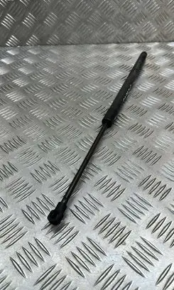 Chevrolet Captiva Tailgate/trunk strut/damper 95326923