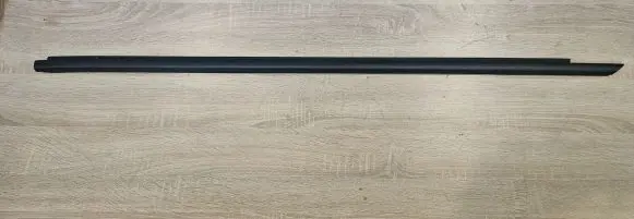 Dodge Challenger Front door glass trim molding 55399123AG