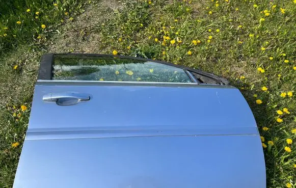 Opel Signum Front door Z163