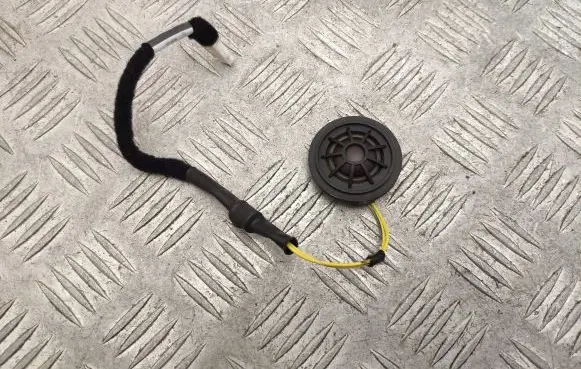 Front door speaker
