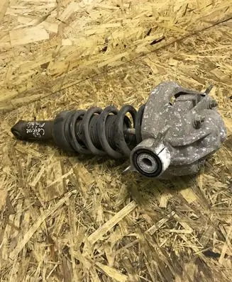 Porsche Cayenne (9PA) Rear shock absorber/damper