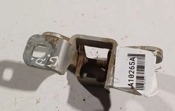 Chrysler 300 - 300C Rear door lower hinge