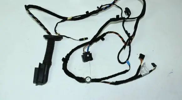 Rear door wiring loom