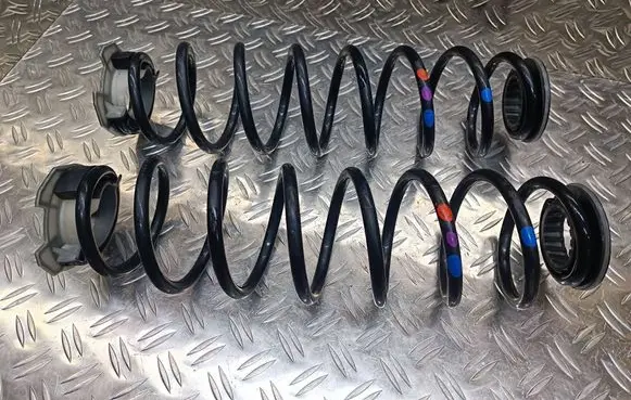 Rear coil spring