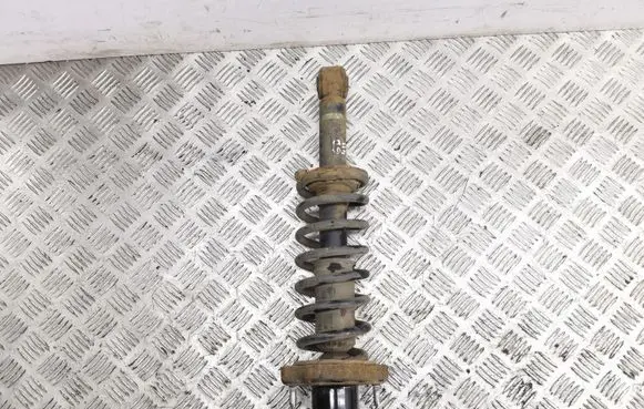 Mitsubishi Outlander Rear shock absorber/damper