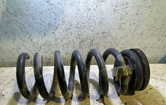 Ford Edge II Rear coil spring