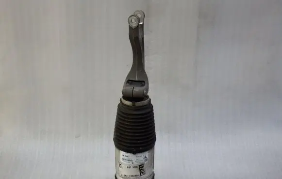 Tesla Model S Front shock absorber/damper