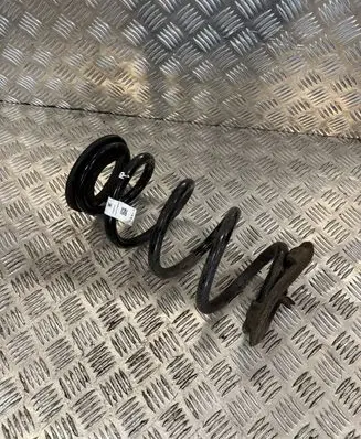 Tesla Model 3 Rear coil spring 104447201E