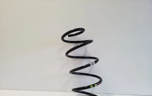 Front coil spring