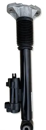Mercedes-Benz GLS X167 Rear shock absorber/damper A1673200302