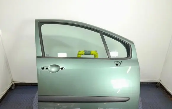 Renault Modus Front door