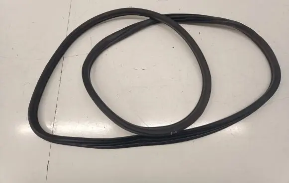 BMW 1 F40 Front door rubber seal 