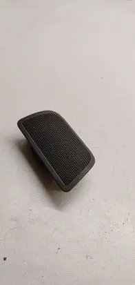 Panel speaker
