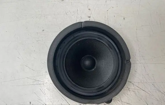 BMW X5 E53 Rear door speaker 8379094 4432144