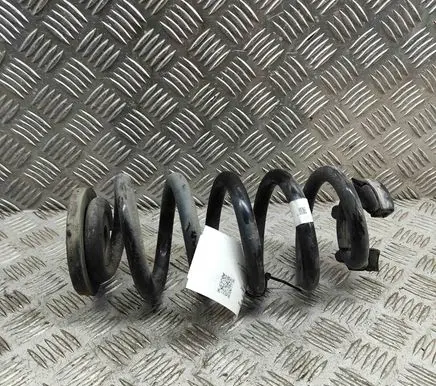 Volkswagen ID.4 Rear coil spring 1EA511103G
